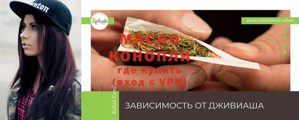 стафф Вяземский