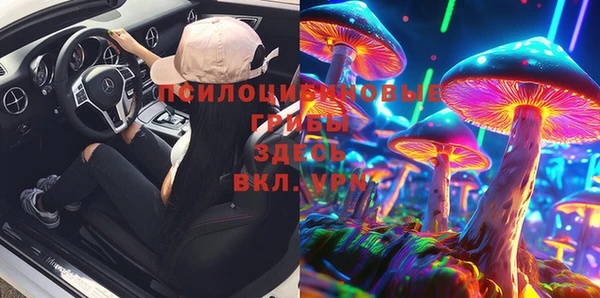 стафф Вяземский