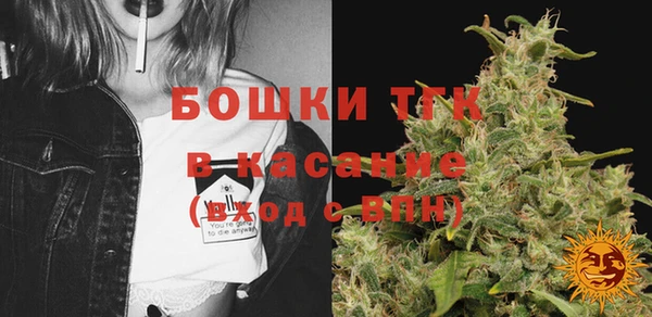 шишки Волосово
